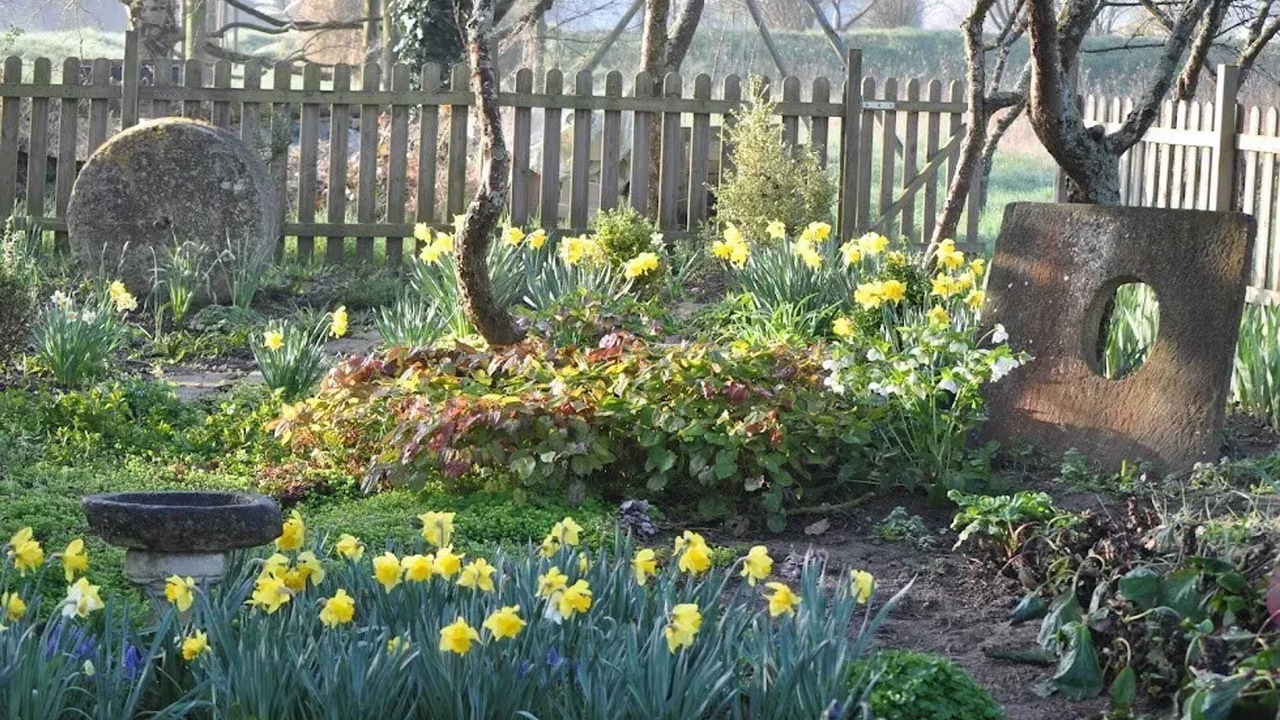 Photo of Outdoor in Brehemont
