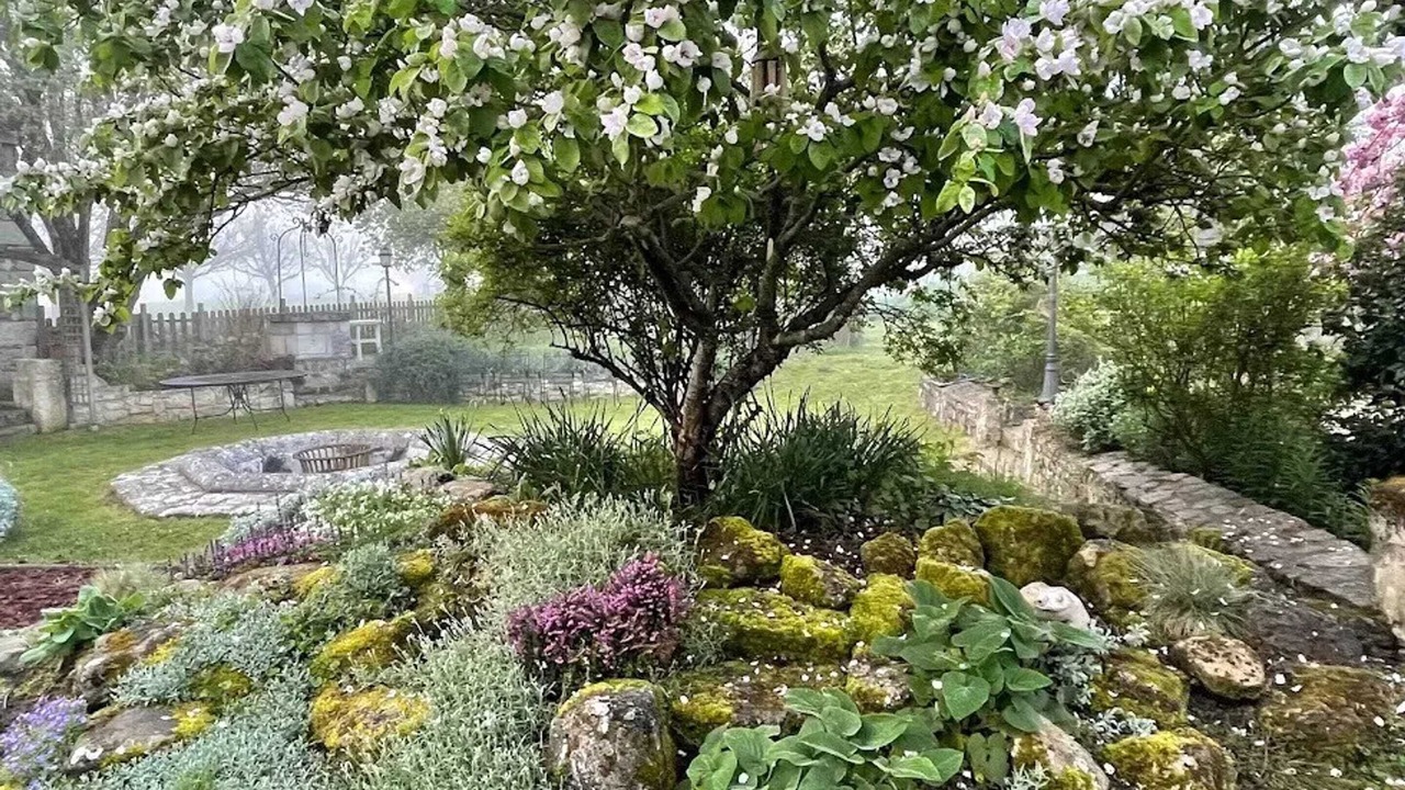 Photo of Outdoor in Brehemont