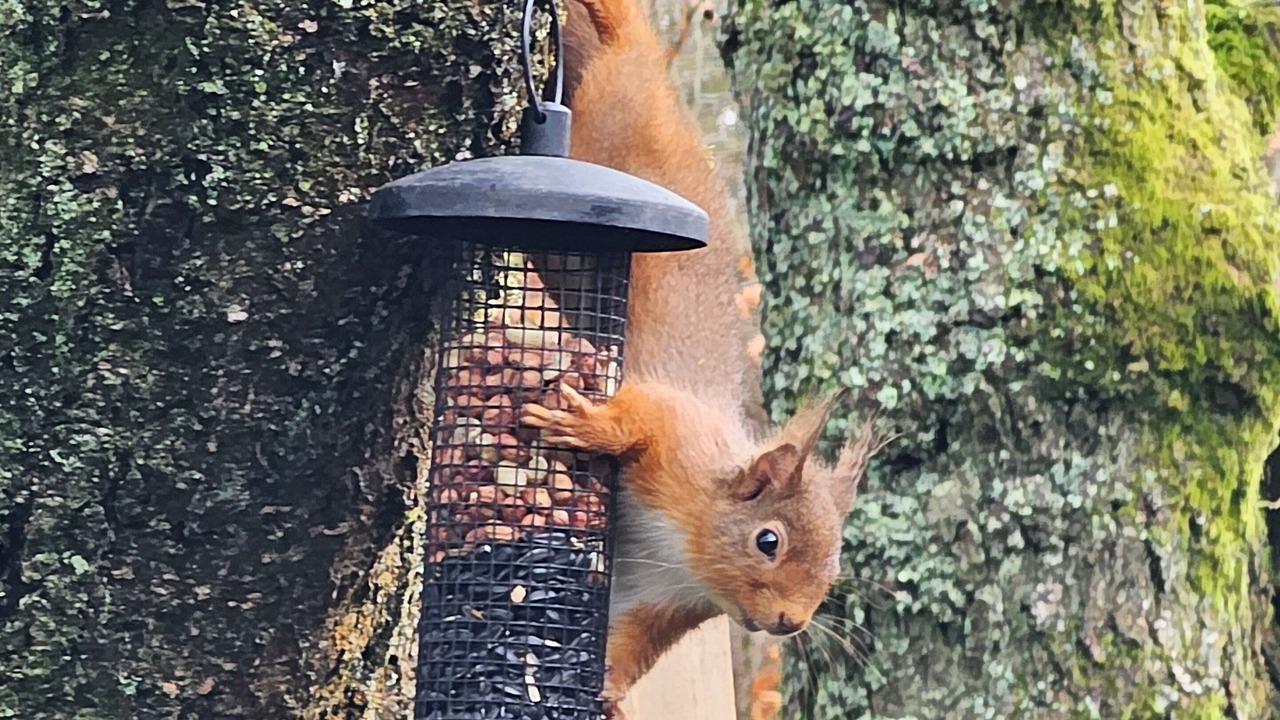 Photo of Others in Welton