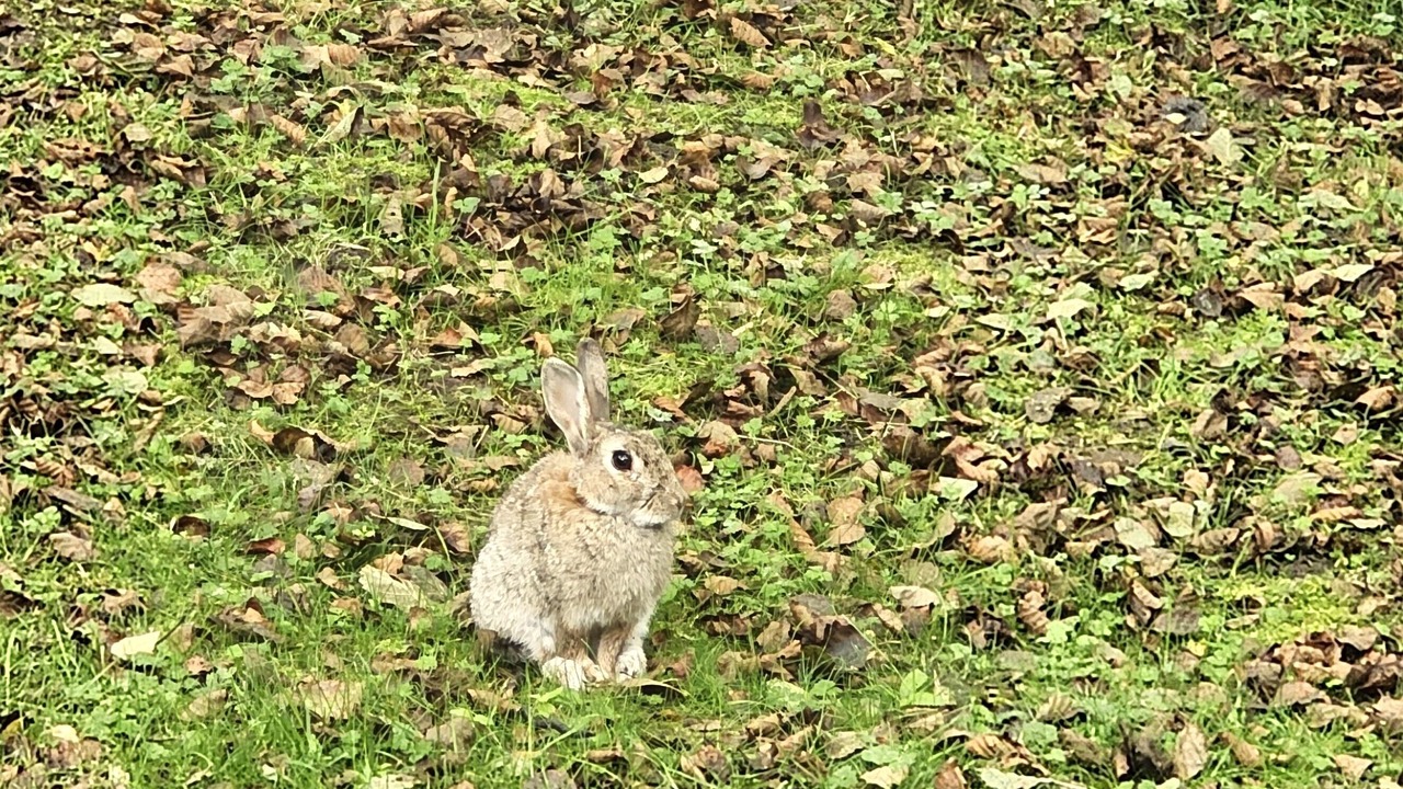 Photo of Others in Welton