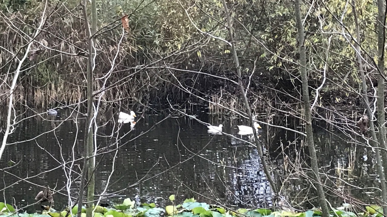 Photo of Others in Bogense