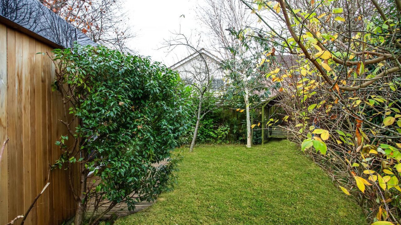 Photo of Others in Harrogate