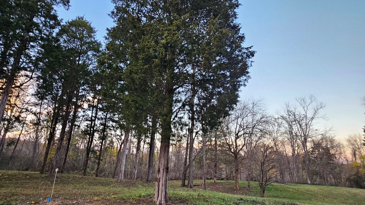 Photo of Others in Madison