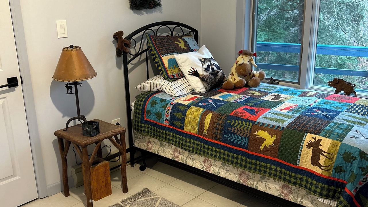 Photo of Bedroom in Olmstedville