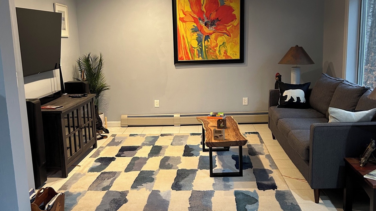Photo of Livingroom in Olmstedville