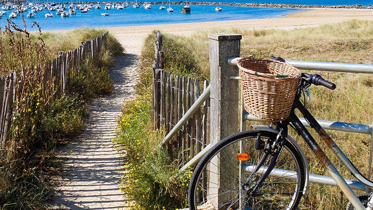 Photo of Others in La Plaine-sur-Mer