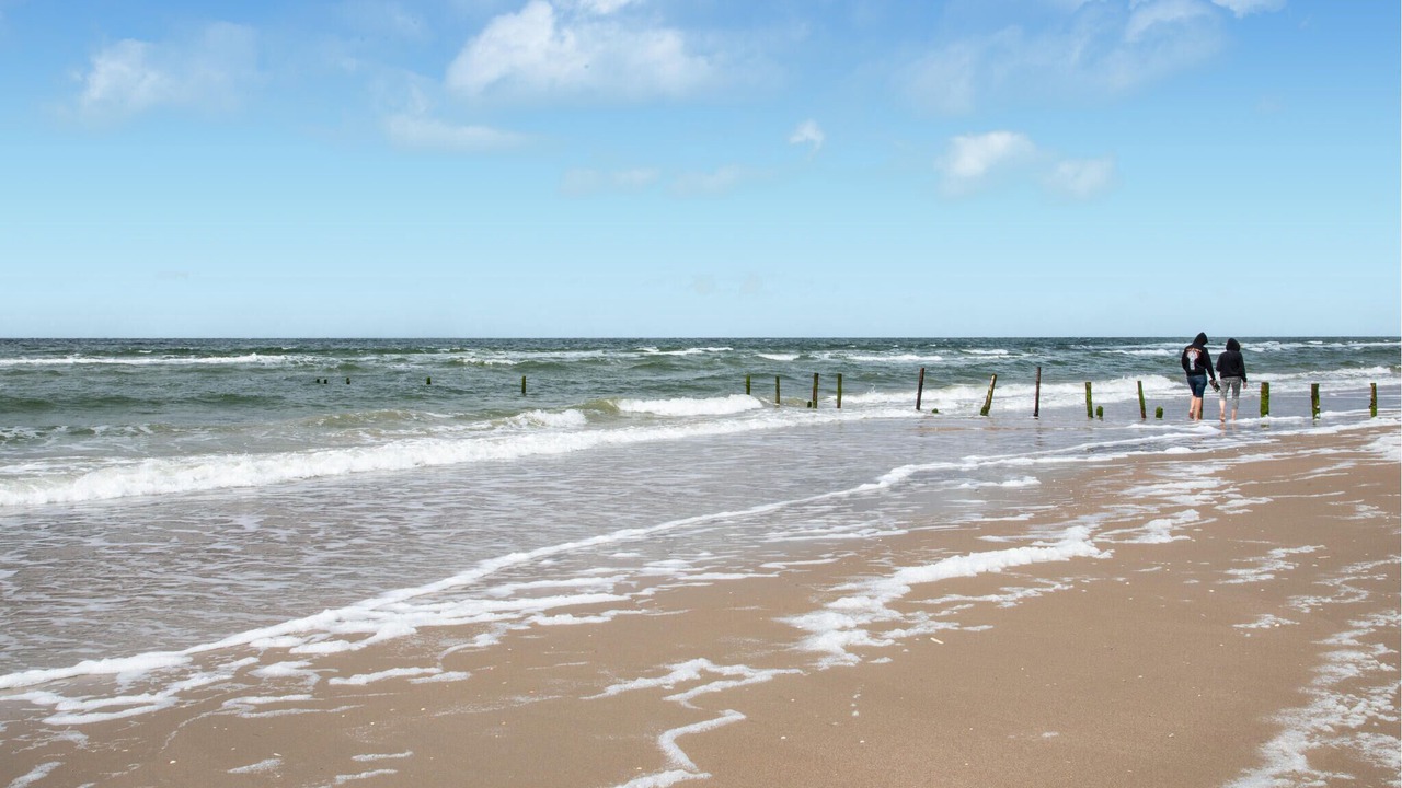 Photo of Others in Kongsmark