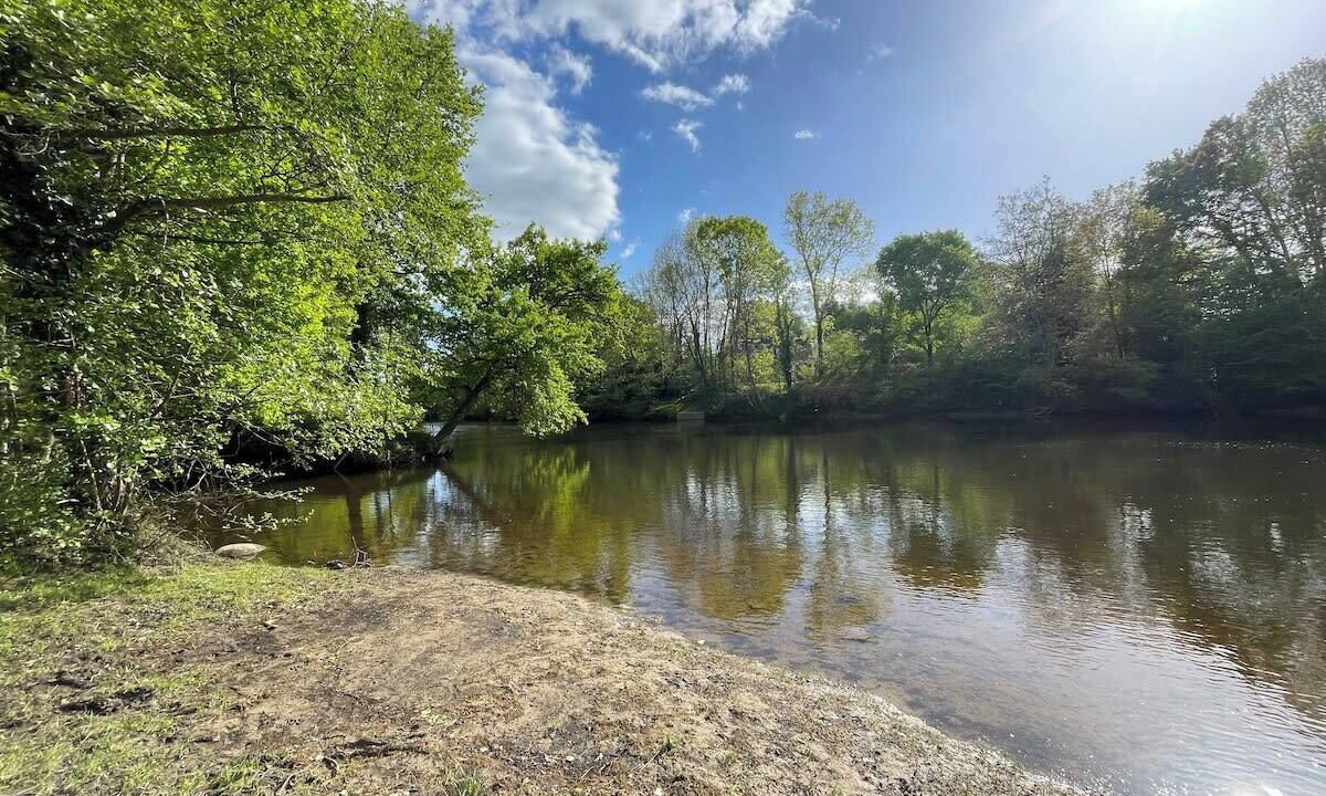 Photo of Others in Le Pechereau