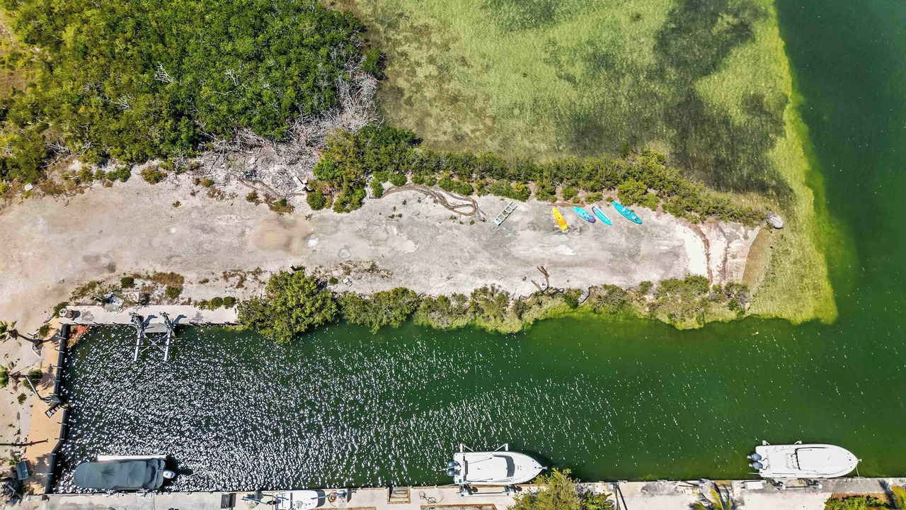 Photo of Outdoor in Long Beach Estates