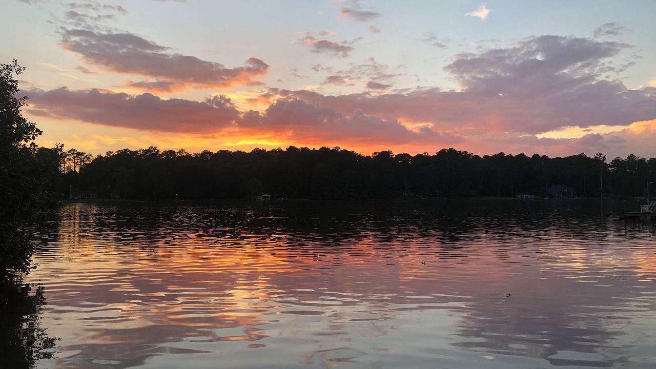 Photo of Others in Americus