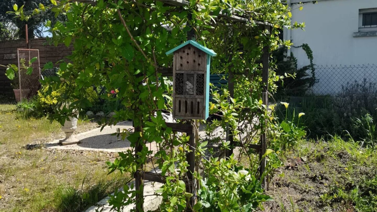 Photo of Outdoor in Bourgueil