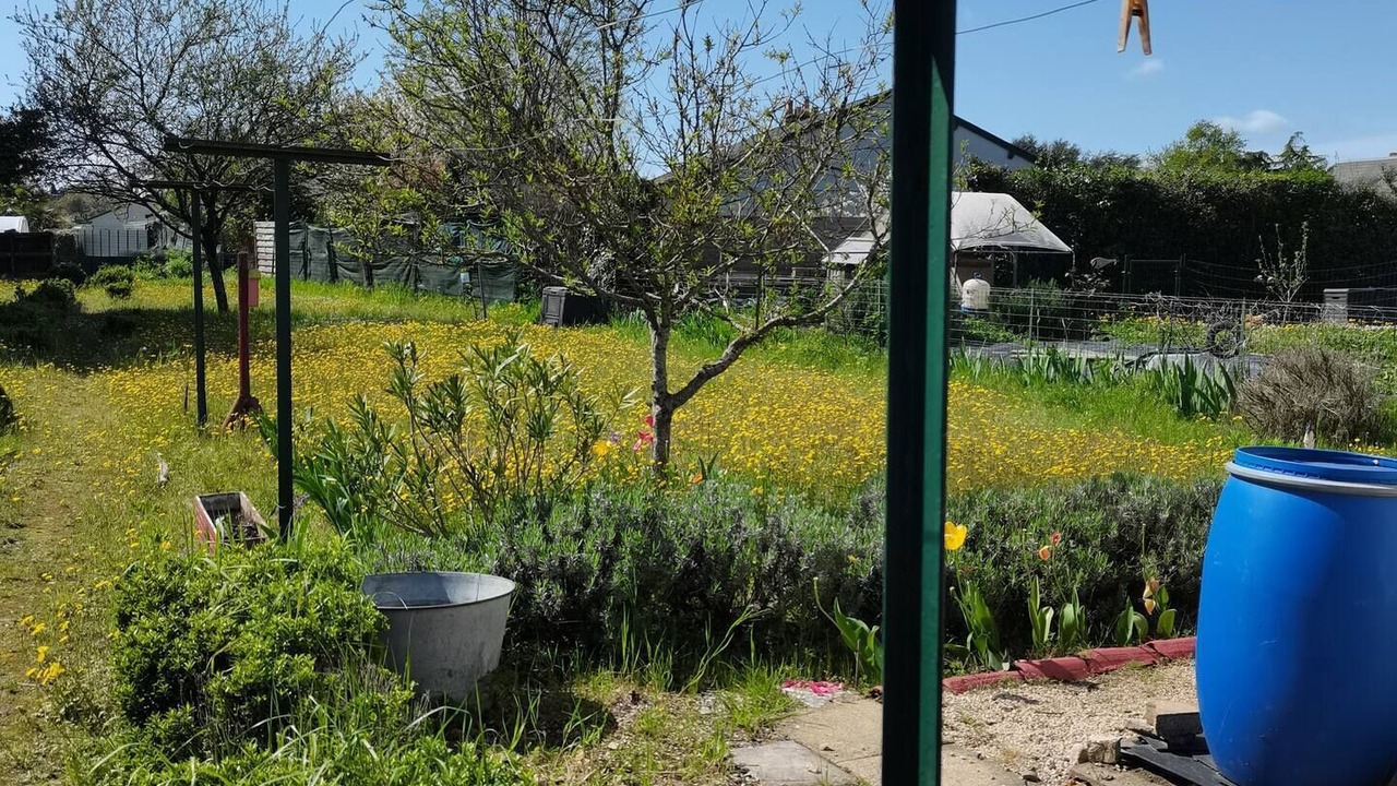 Photo of Outdoor in Bourgueil