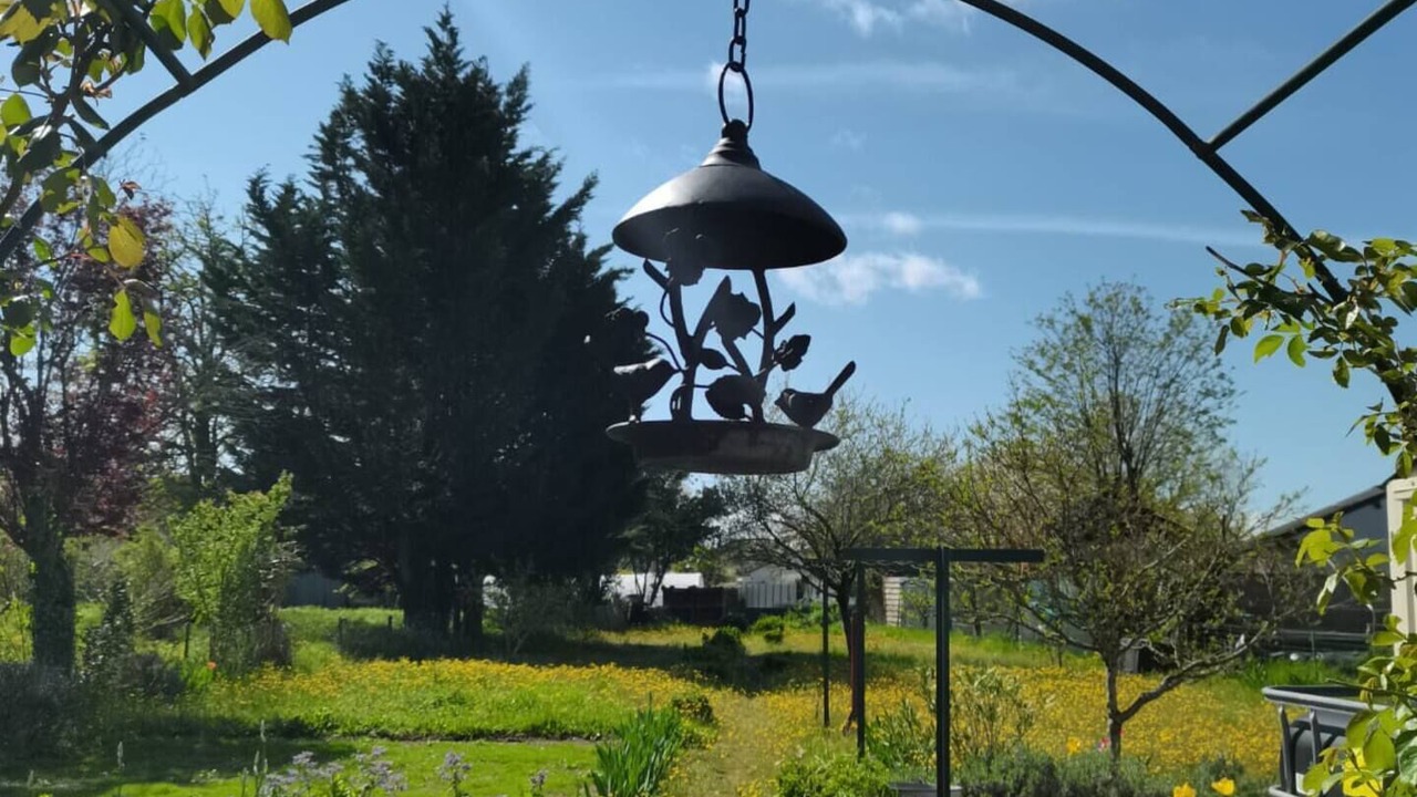 Photo of Outdoor in Bourgueil