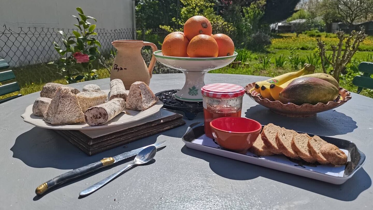 Photo of Outdoor in Bourgueil