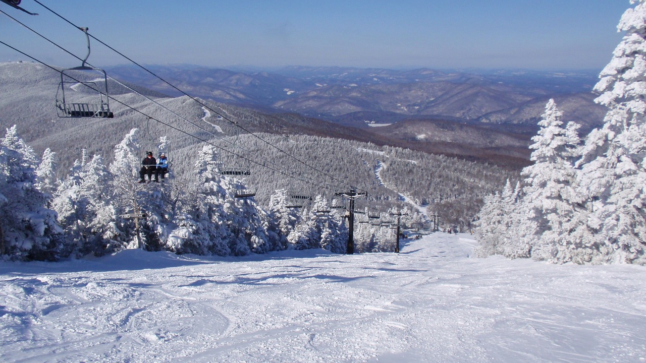 Photo of Others in Pittsfield