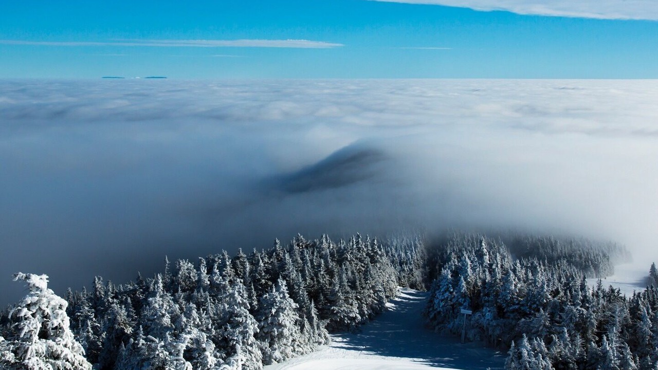 Photo of Others in Pittsfield