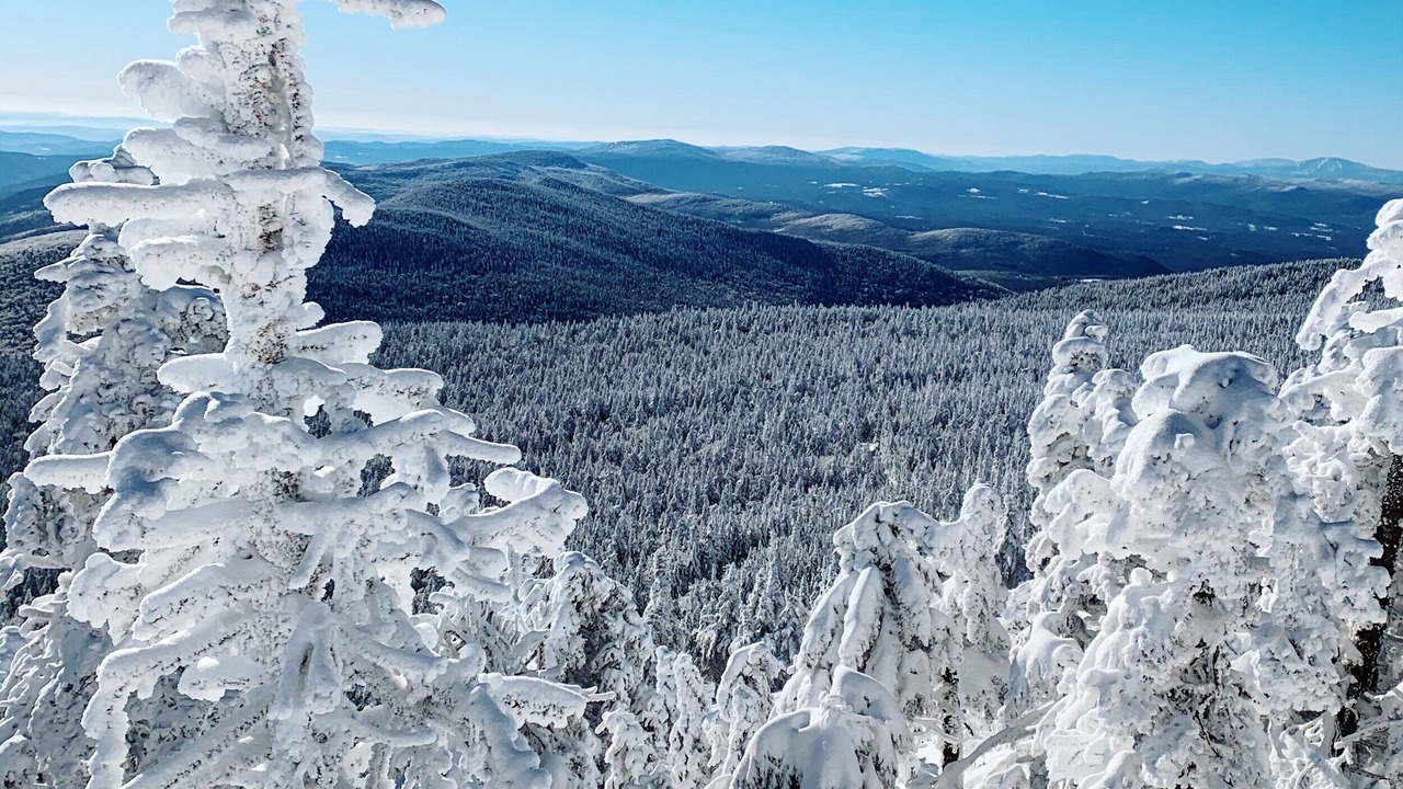 Photo of Others in Pittsfield