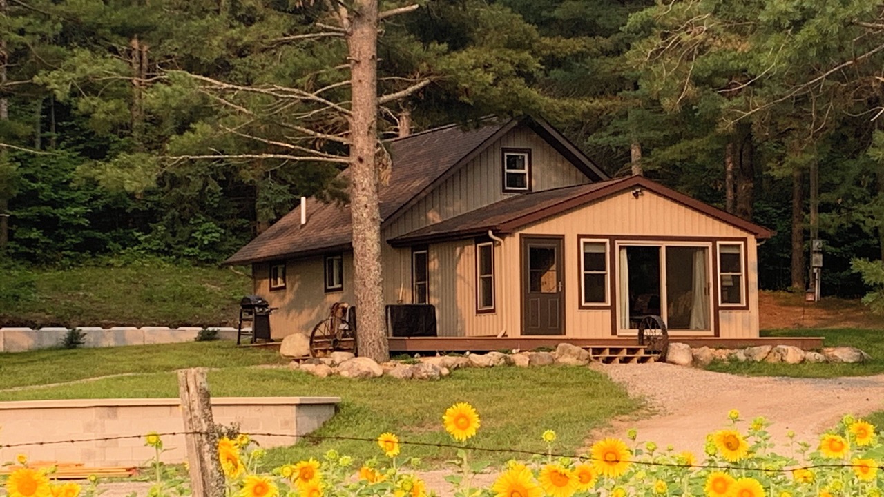 Photo of Outdoor in Grayling