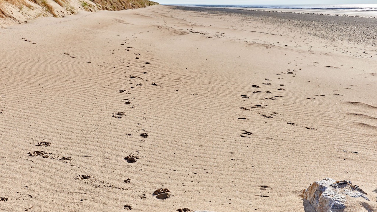Photo of Others in Saint-Jean-de-la-Riviere