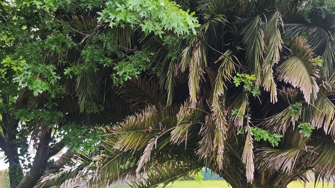 Photo of Outdoor in Hilltop