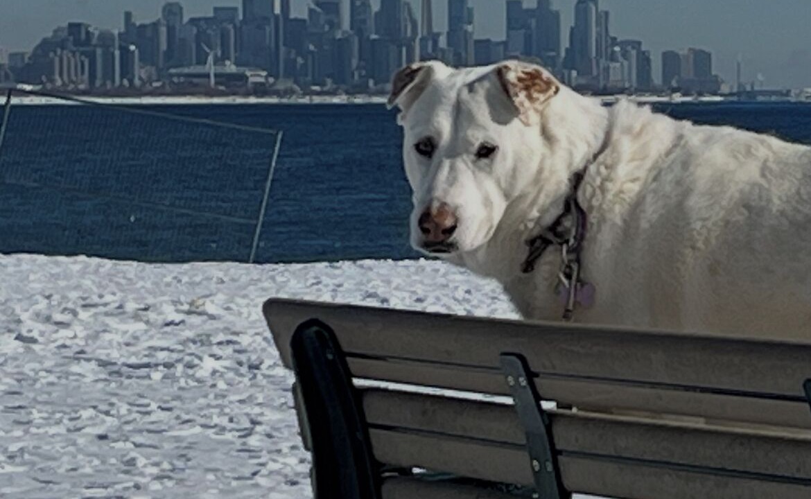 Photo of Outdoor in New Toronto