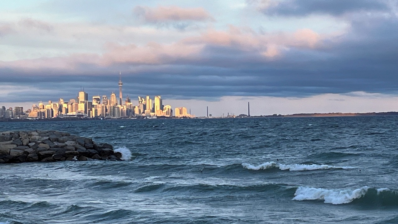 Photo of Others in New Toronto