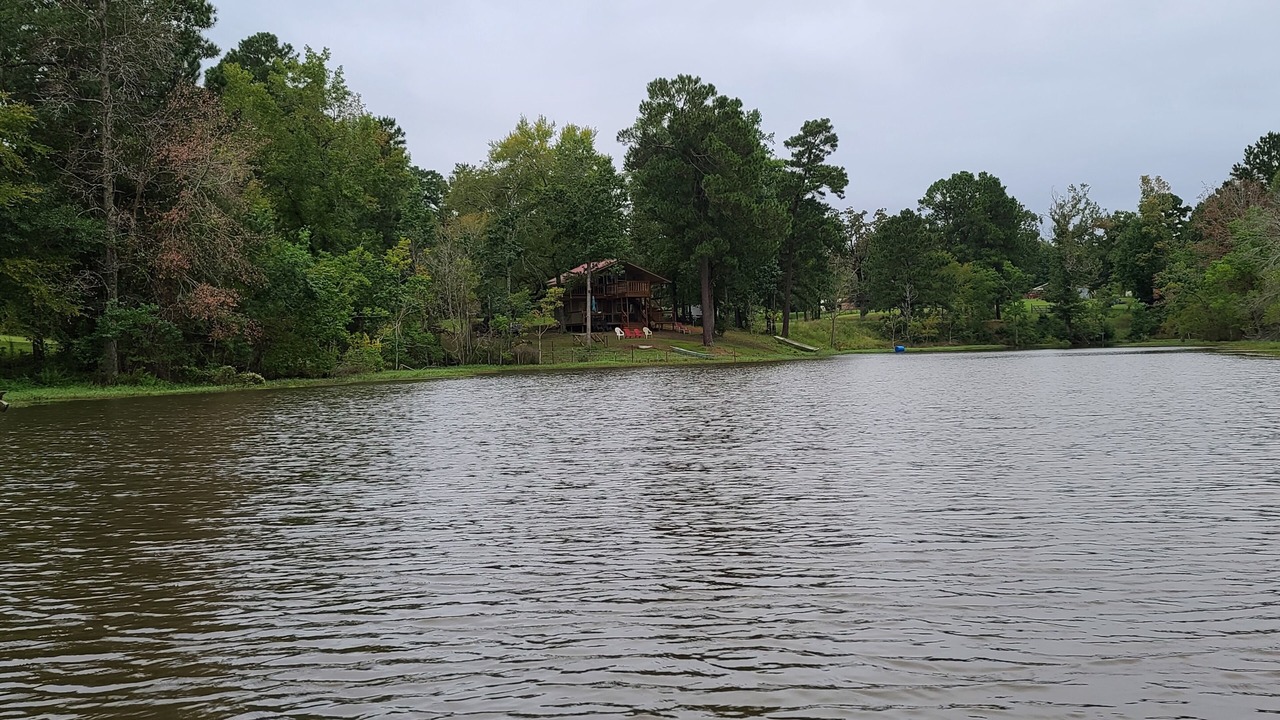 Photo of Others in Rusk