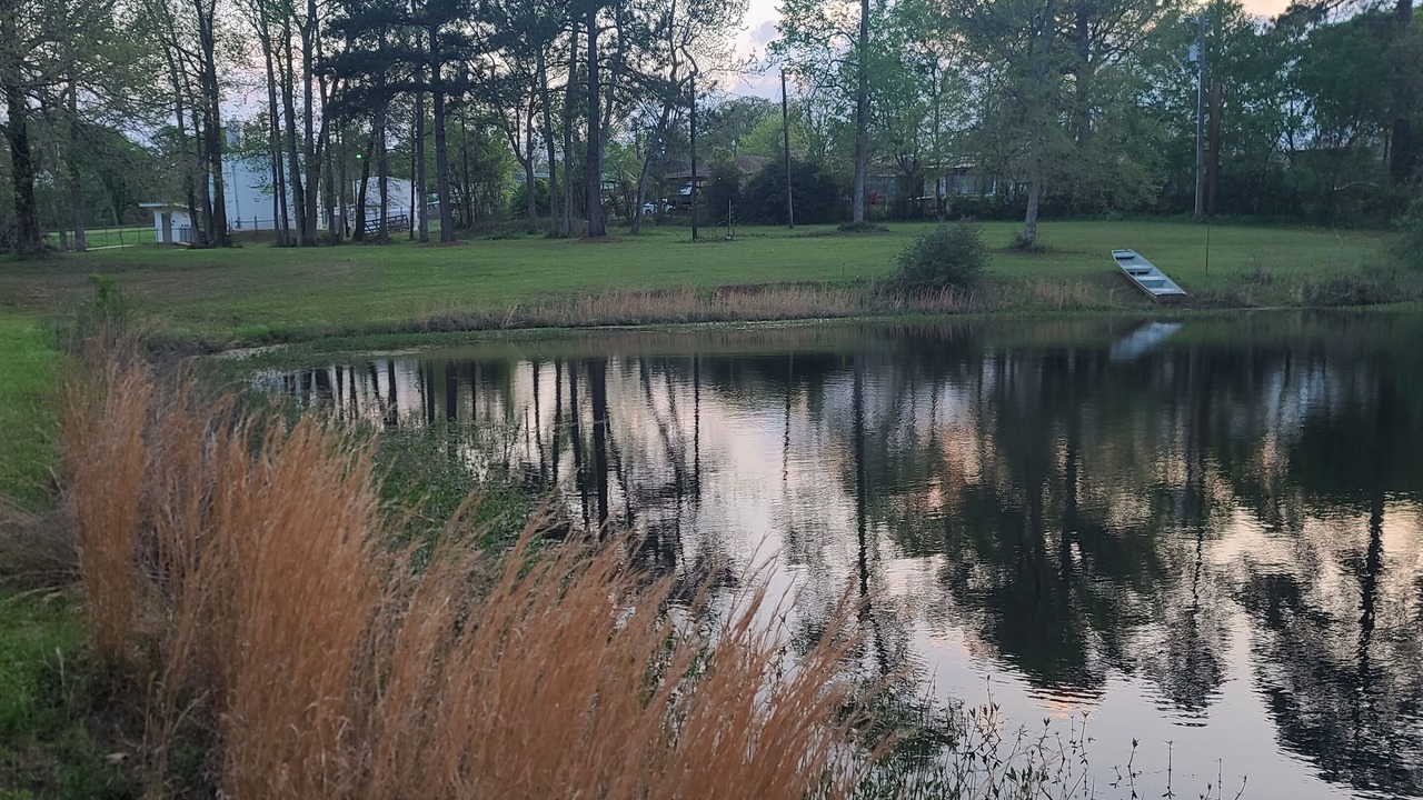 Photo of Outdoor in Rusk