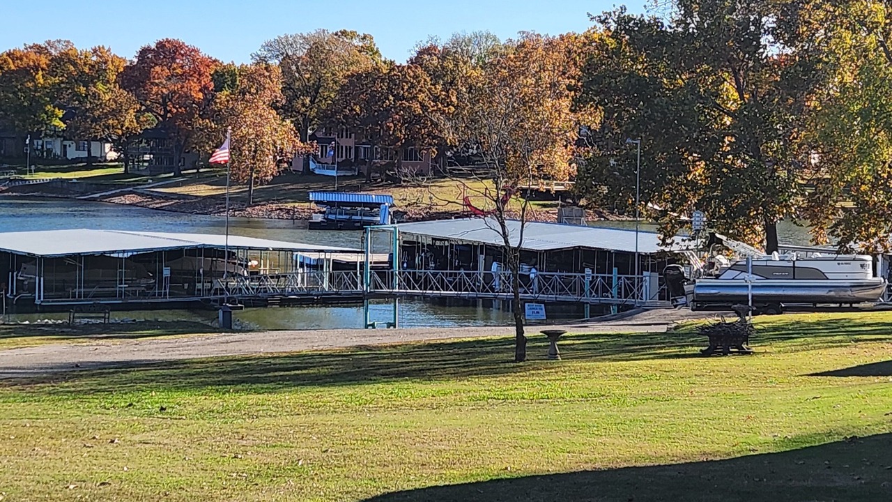 Photo of Others in Cleora