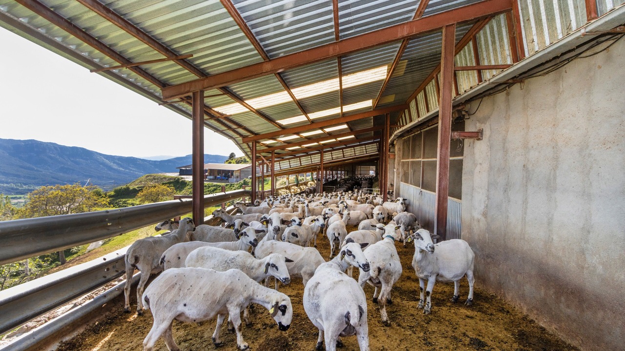 Photo of Others in Valle de Lierp