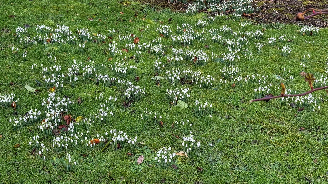 Photo of Others in Denbigh