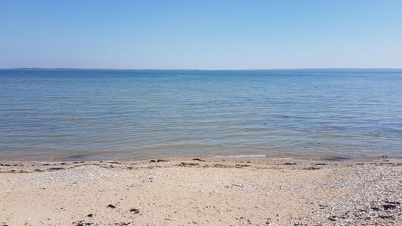 Photo of Others in Caden