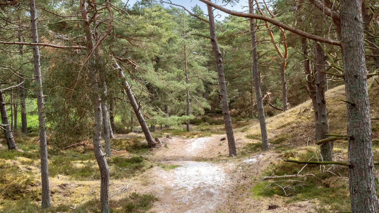 Photo of Others in Dueodde