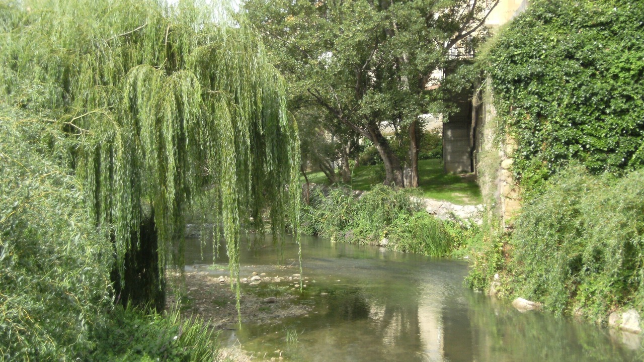 Photo of Others in Cuzcurrita de Rio Tiron