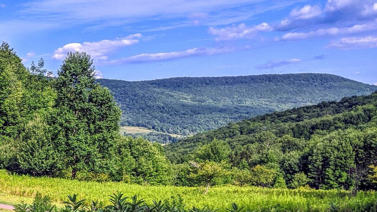 Photo of Others in Margaretville