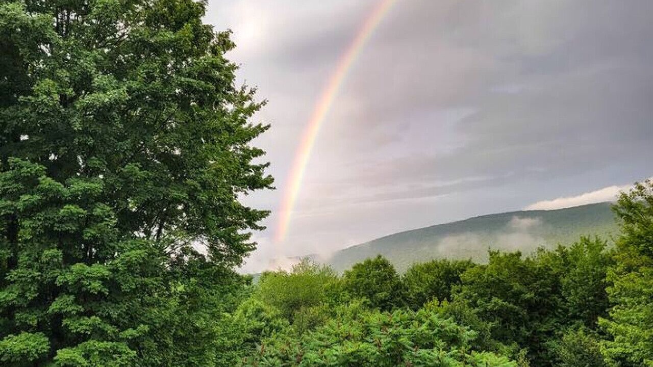 Photo of Others in Margaretville