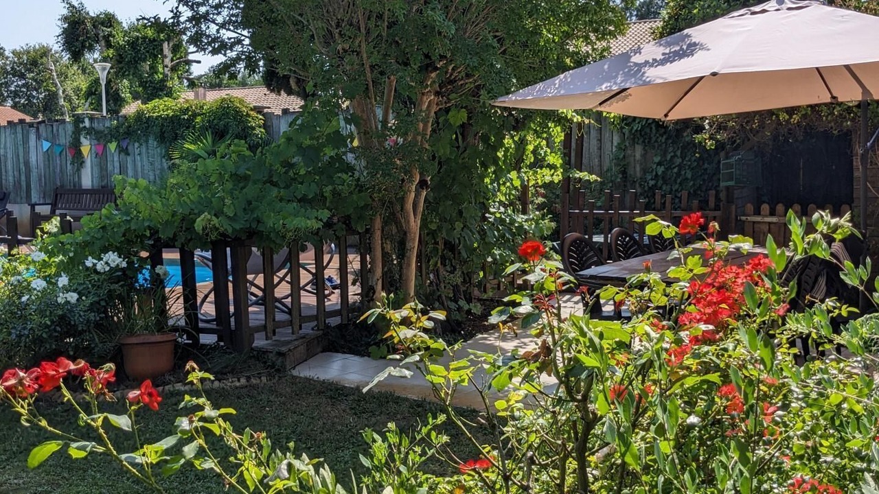 Photo of Outdoor in Sanguinet
