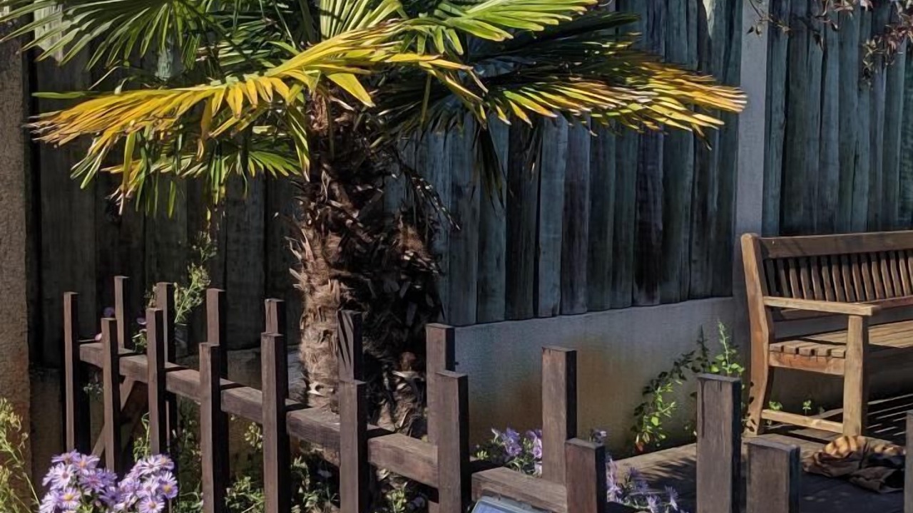 Photo of Outdoor in Sanguinet