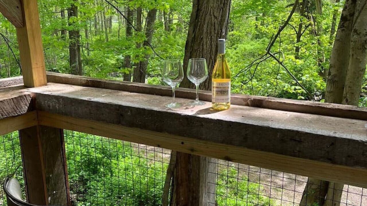 Photo of Outdoor in Salt Point