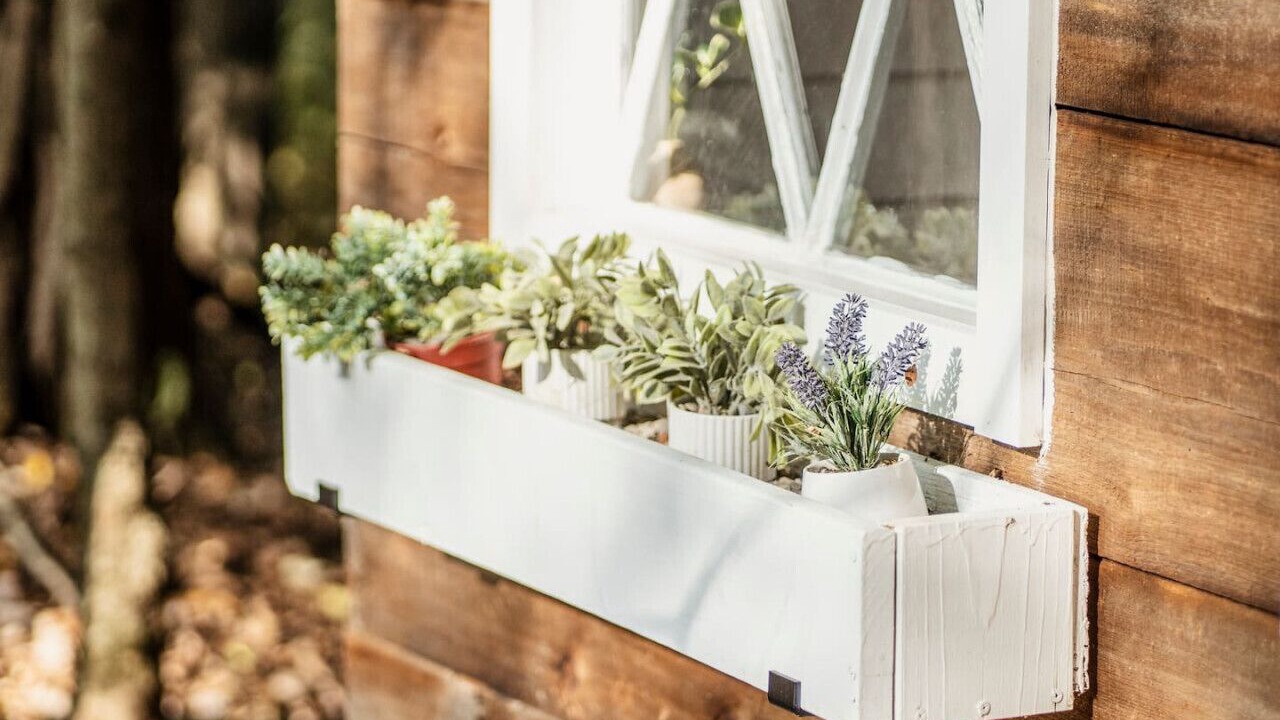 Photo of Outdoor in Salt Point