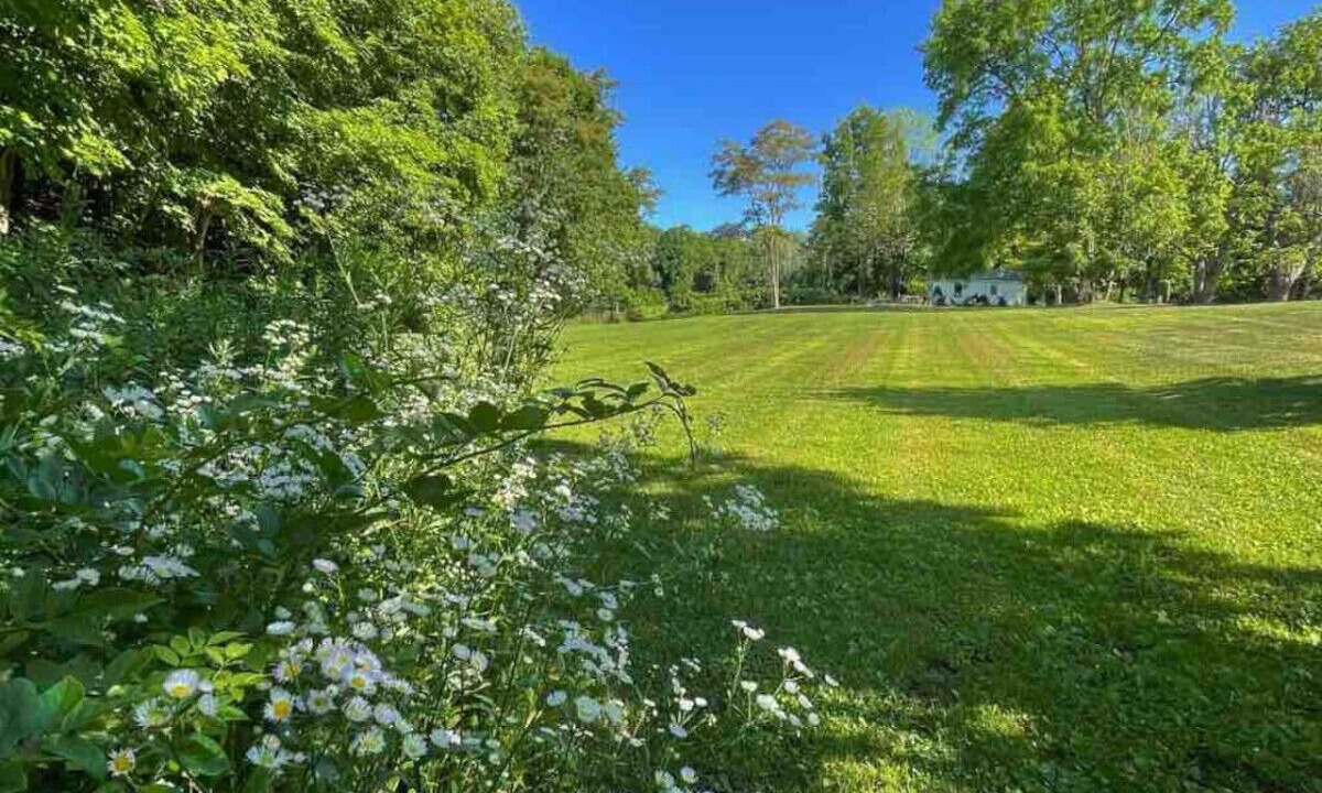 Photo of Outdoor in Hyde Park