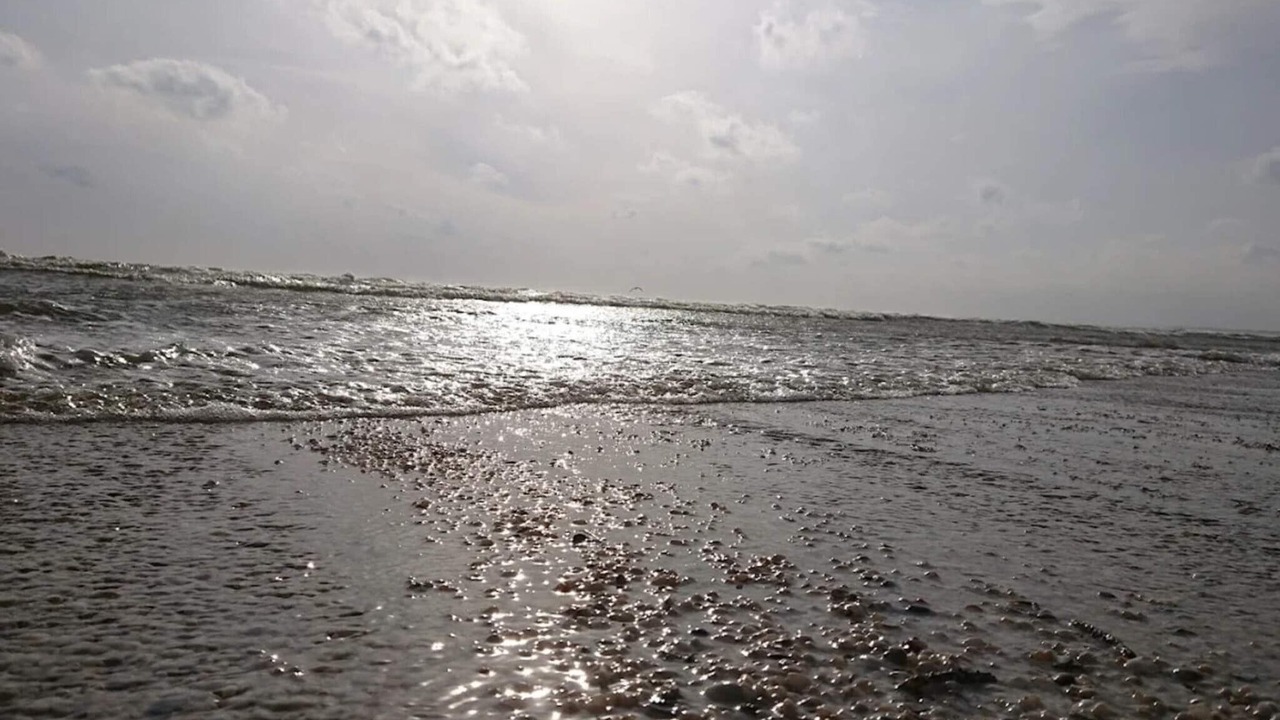 Photo of Others in Aalbaek