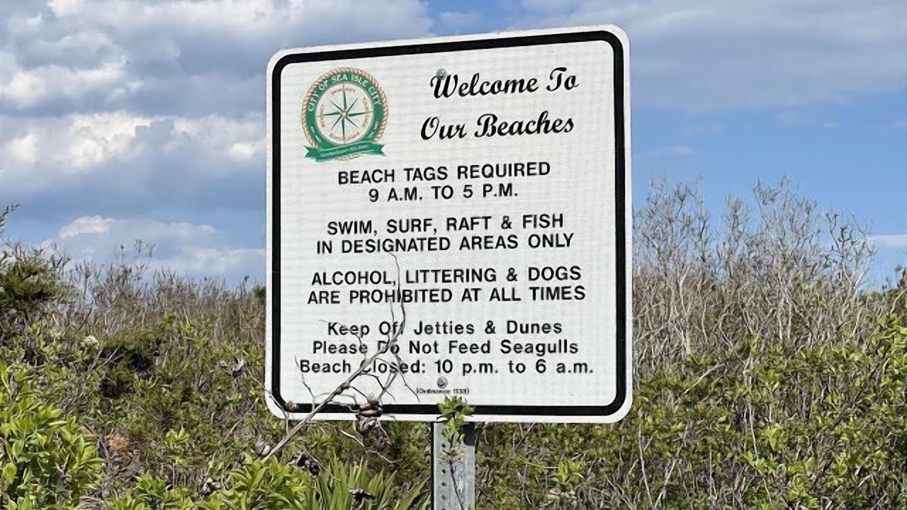 Photo of Others in Sea Isle City