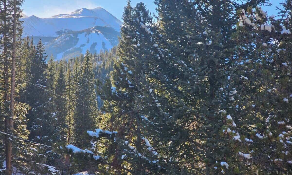 Photo of Others in Baldy Mountain