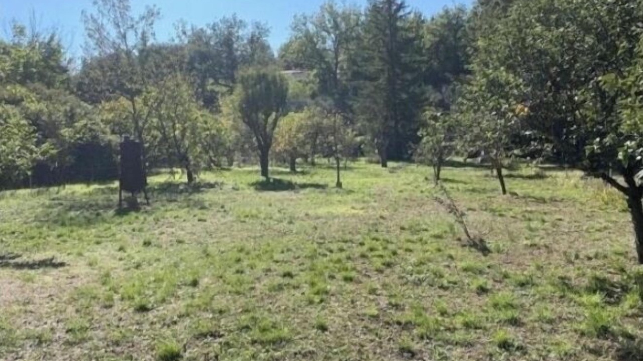Photo of Others in Barjols