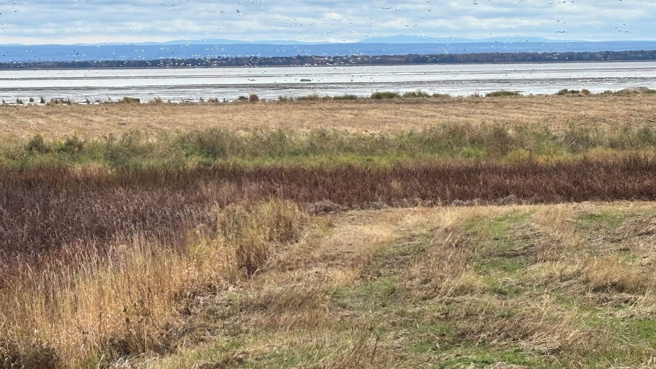 Photo of Others in Saint-Laurent-de-l'ile d'Orleans