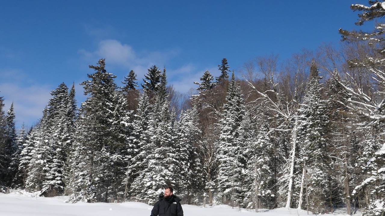 Photo of Others in Saint-Faustin-Lac-Carre