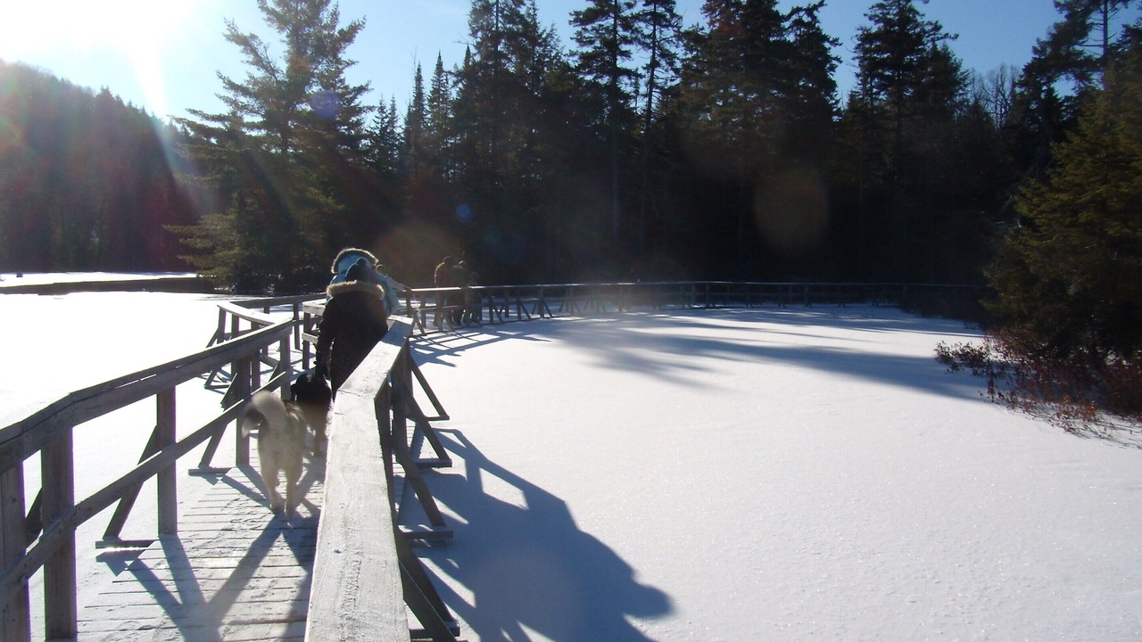 Photo of Outdoor in Saint-Faustin-Lac-Carre