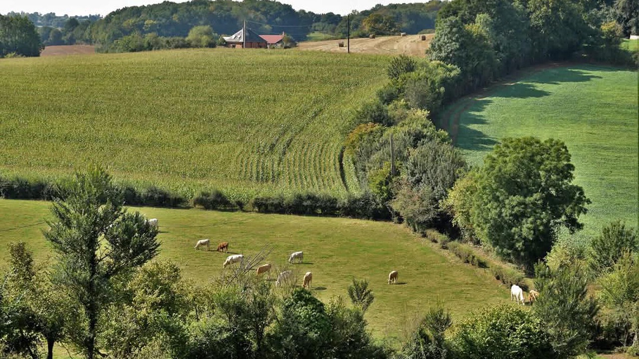 Photo of Others in Milly-sur-Therain