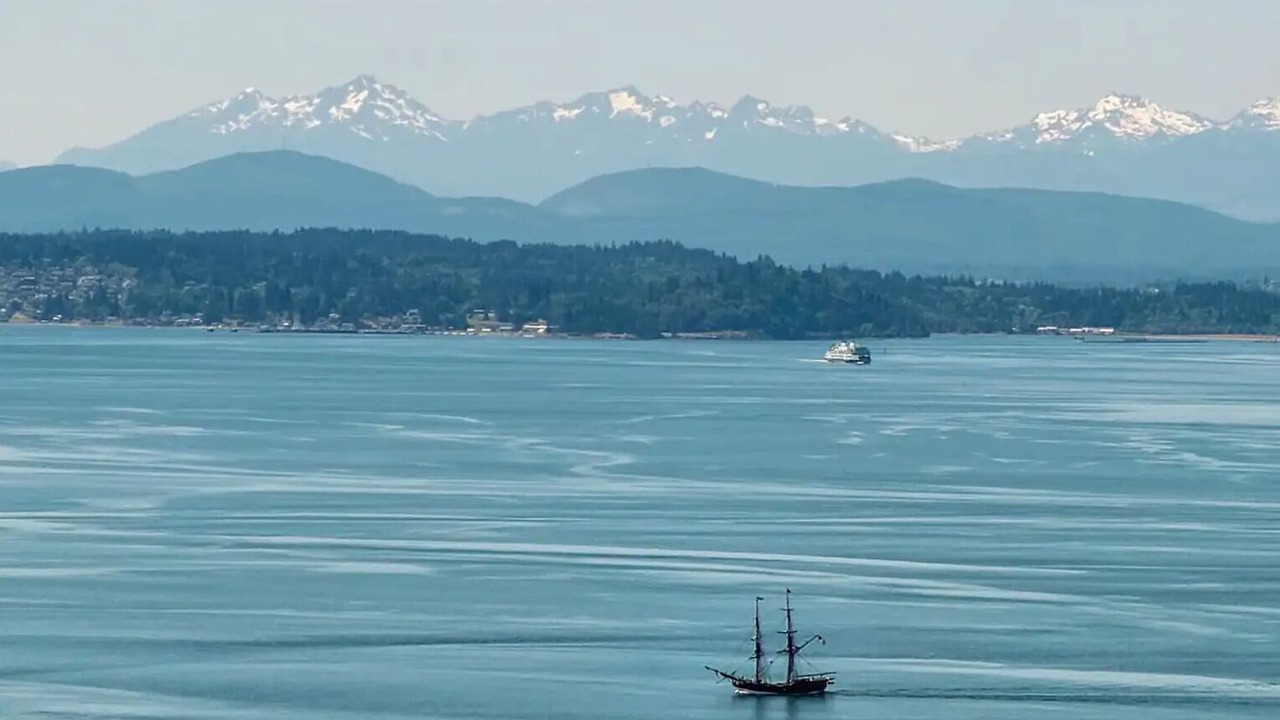 Photo of Others in Alki